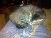 2010-03-05 19_32_56.jpg